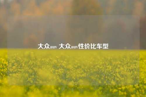 大众auv 大众auv性价比车型
