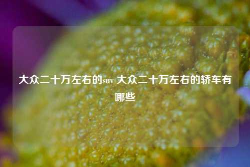 大众二十万左右的suv 大众二十万左右的轿车有哪些