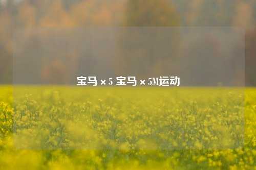 宝马×5 宝马×5M运动