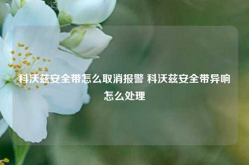 科沃兹安全带怎么取消报警 科沃兹安全带异响怎么处理