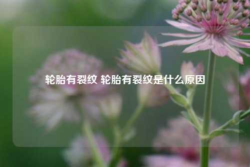 轮胎有裂纹 轮胎有裂纹是什么原因