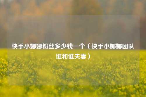 快手小娜娜粉丝多少钱一个(快手小娜娜团队谁和谁夫妻)