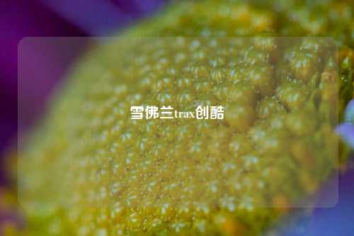 雪佛兰trax创酷